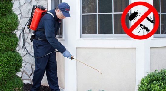 Boğazlıyan Haşere İlaçlama böcek ilaçlama ve haşere kontrolü — ilaclama-tr.com